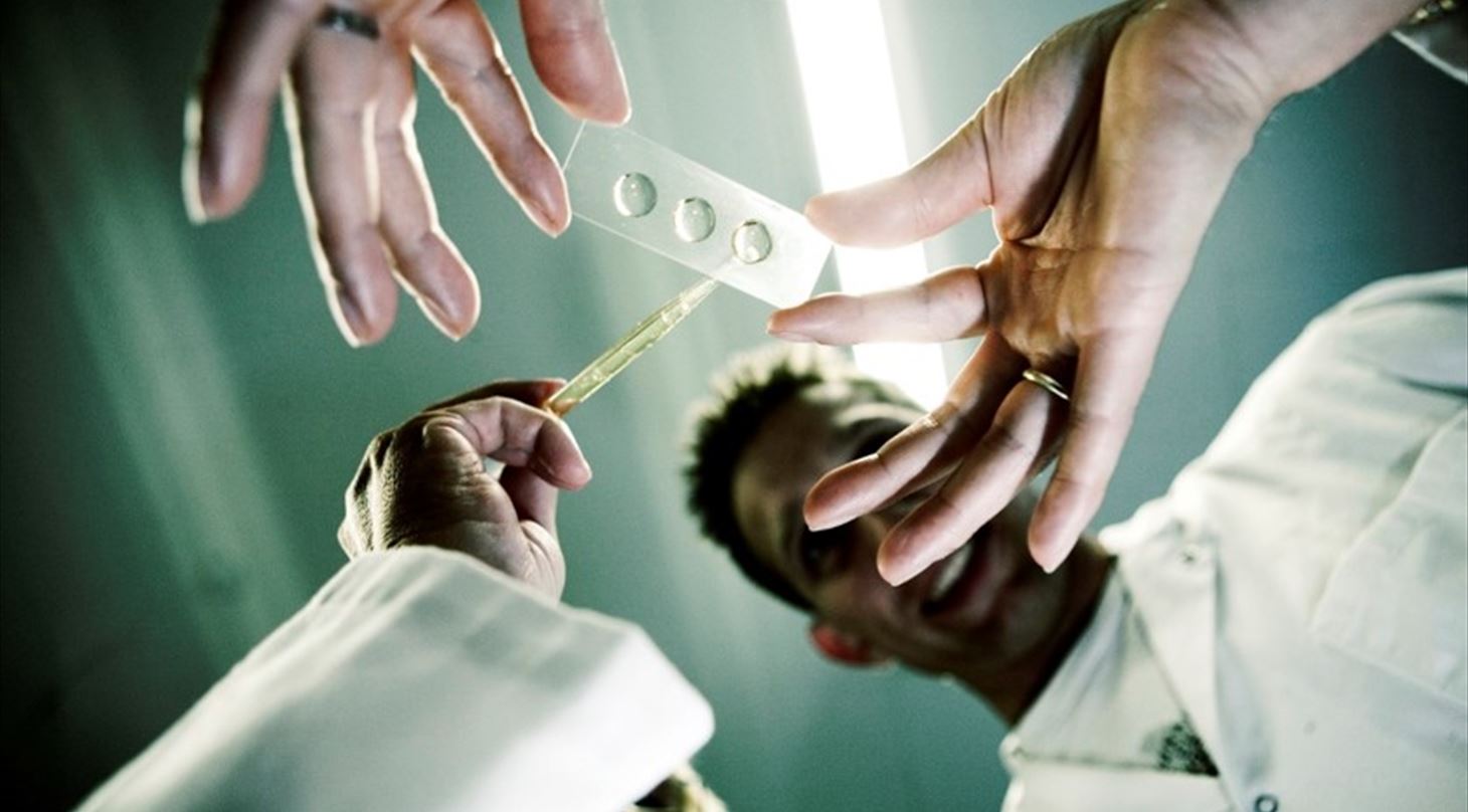Billede af forskere, der behandler en prøve på et labortorium